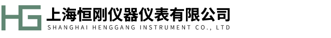 上海91视频啪啪网仪器仪表有限公司